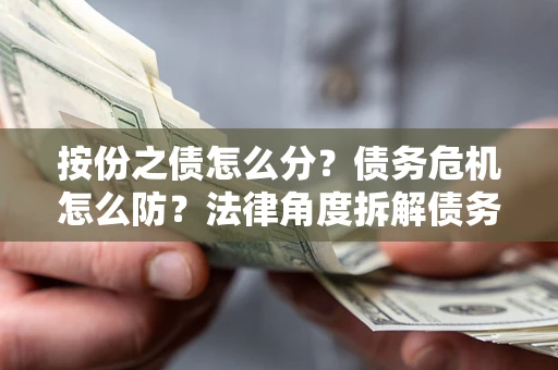 武汉按份之债怎么分？债务危机怎么防？法律角度拆解债务分配与风险自保指南