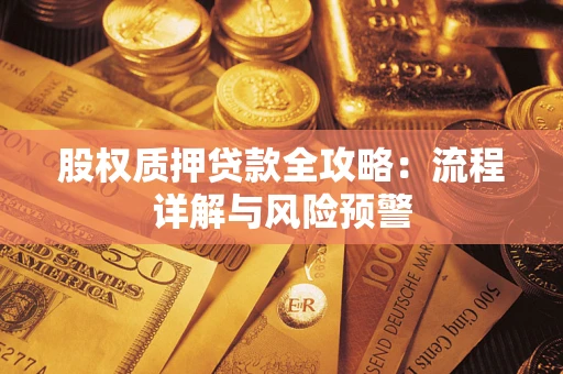 武汉股权质押贷款全攻略：流程详解与风险预警