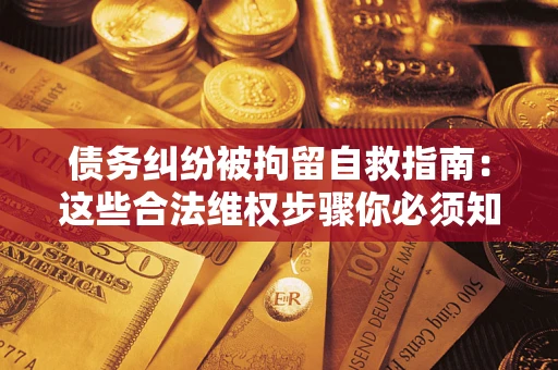 武汉债务纠纷被拘留自救指南：这些合法维权步骤你必须知道！