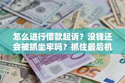 武汉怎么进行借款起诉？没钱还会被抓坐牢吗？抓住最后机会！