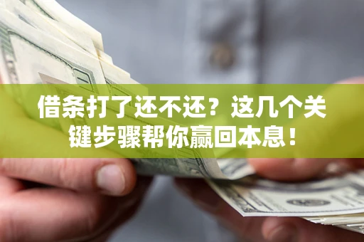 武汉借条打了还不还？这几个关键步骤帮你赢回本息！