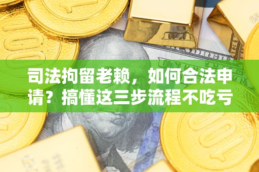 武汉司法拘留老赖，如何合法申请？搞懂这三步流程不吃亏！