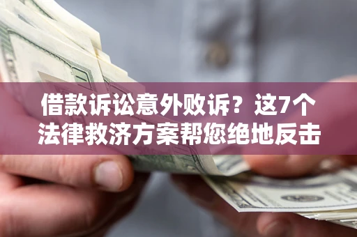 武汉借款诉讼意外败诉？这7个法律救济方案帮您绝地反击！