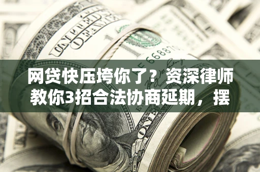 武汉网贷快压垮你了？资深律师教你3招合法协商延期，摆脱暴力催收！