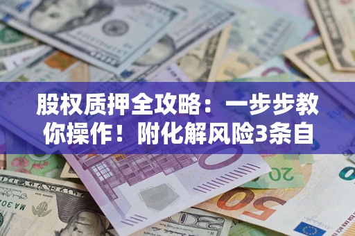 武汉股权质押全攻略：一步步教你操作！附化解风险3条自救法则