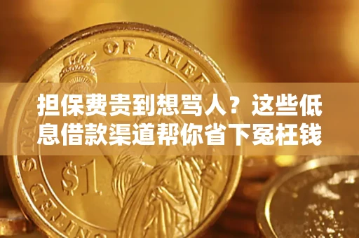 武汉担保费贵到想骂人？这些低息借款渠道帮你省下冤枉钱