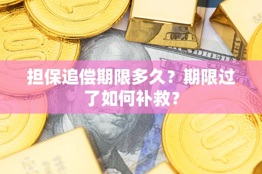 武汉担保追偿期限多久？期限过了如何补救？