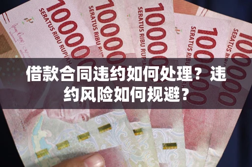 武汉借款合同违约如何处理？违约风险如何规避？