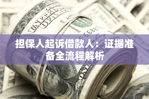 武汉担保人起诉借款人：证据准备全流程解析