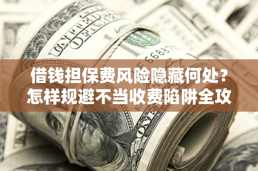 武汉借钱担保费风险隐藏何处？怎样规避不当收费陷阱全攻略！