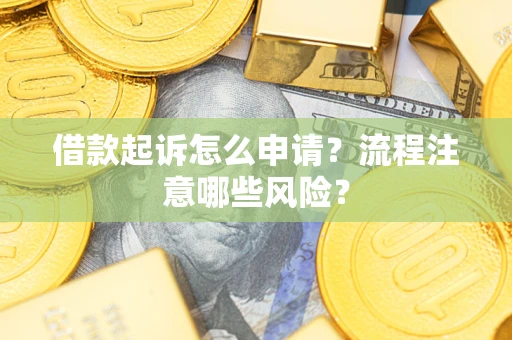 武汉借款起诉怎么申请？流程注意哪些风险？
