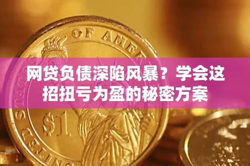 武汉网贷负债深陷风暴？学会这招扭亏为盈的秘密方案