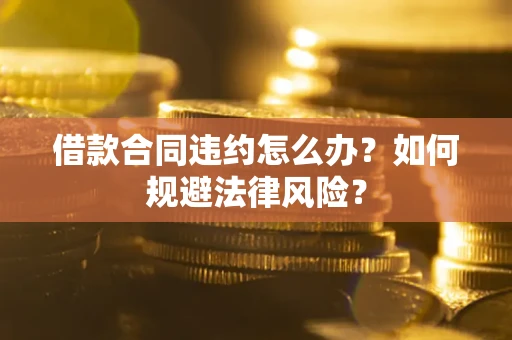 武汉借款合同违约怎么办？如何规避法律风险？